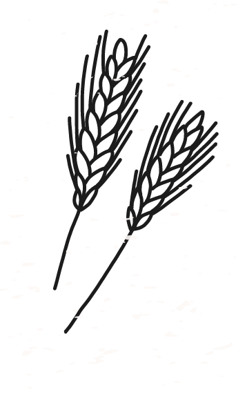 illus-jenlain-03