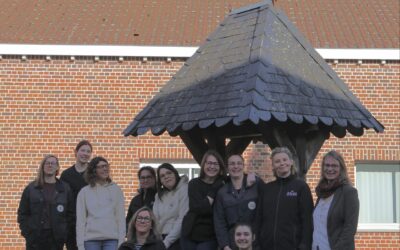 Journée internationale des droits de la femme
